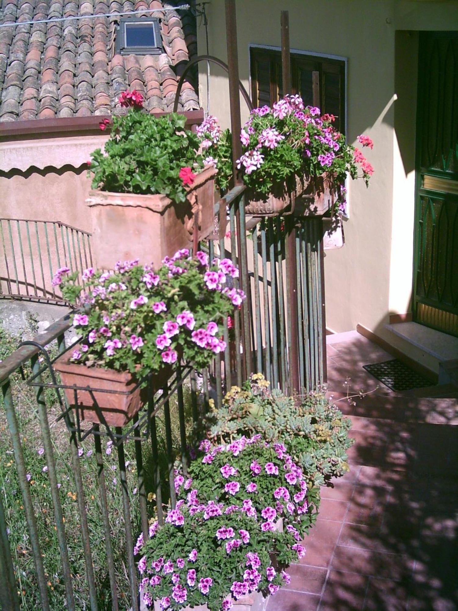 B&B U Palmentu Taormina Exterior foto